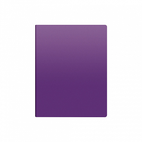 Caiet de prezentare ErichKrause Matt Vivid A4 40 buzunare culori diferite [3]