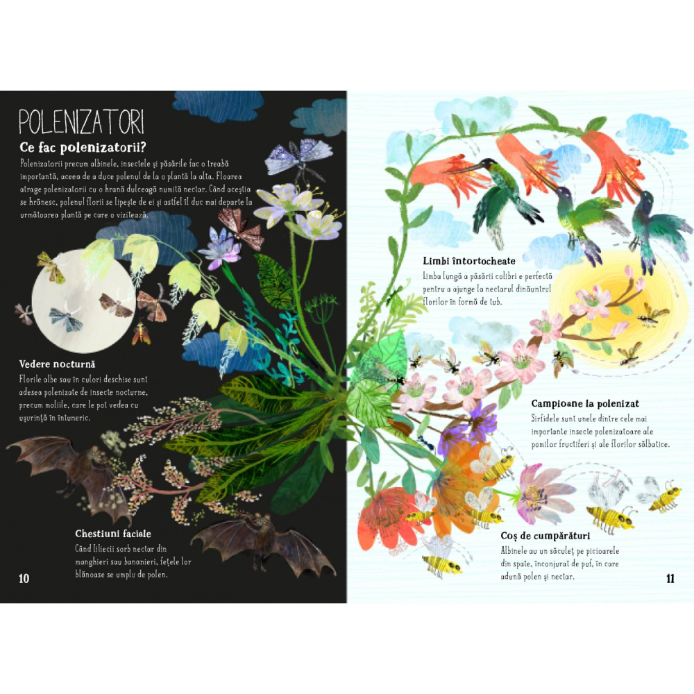 Marea carte despre flori - Yuval Zommer [3]
