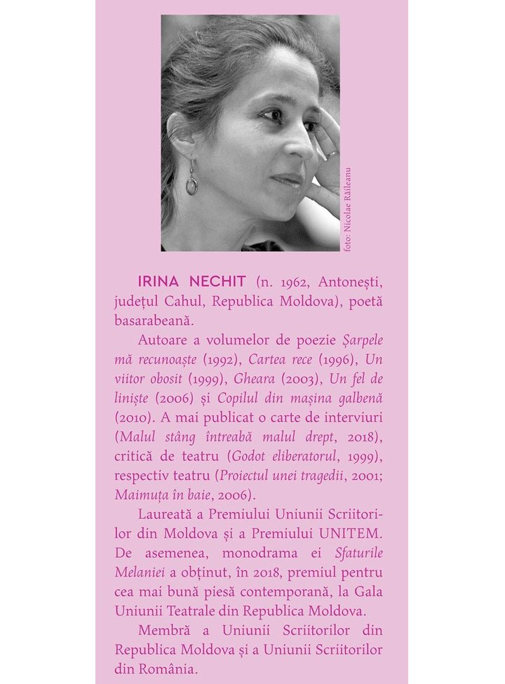 Masa de sarbatoare – Irina Nechit [3]