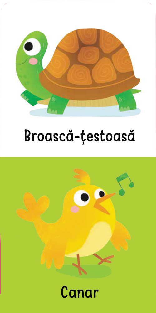 Animale de companie. Mica mea carte zornaitoare si de dentitie [2]