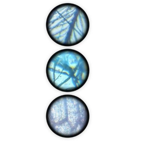 Jucarie educativa microscop 15 experimente Buki [5]