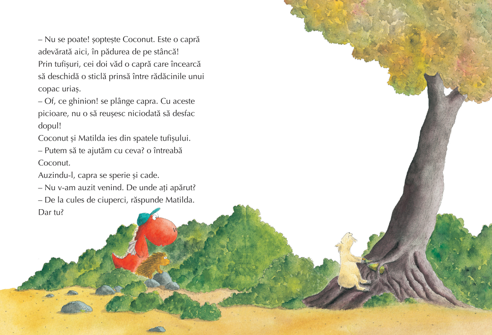 Micul Dragon Coconut si marele vrajitor – Ingo Siegner [4]