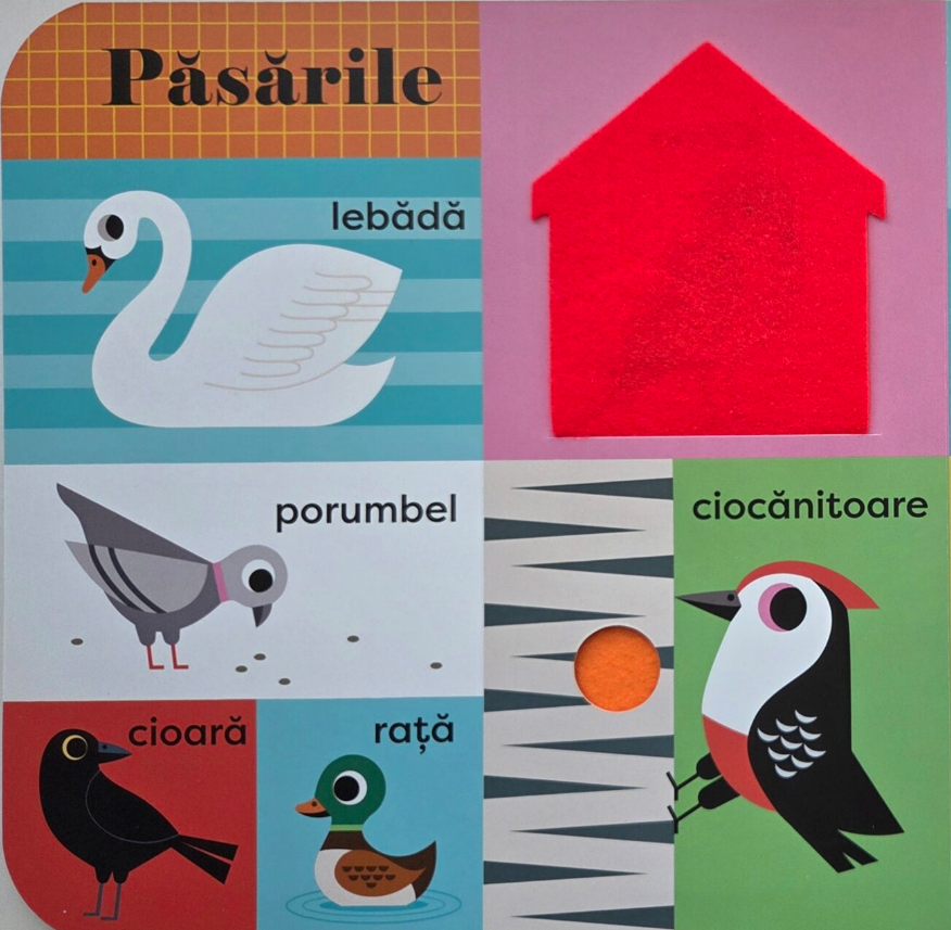Natura. Ma joc, descopar si cresc [2]