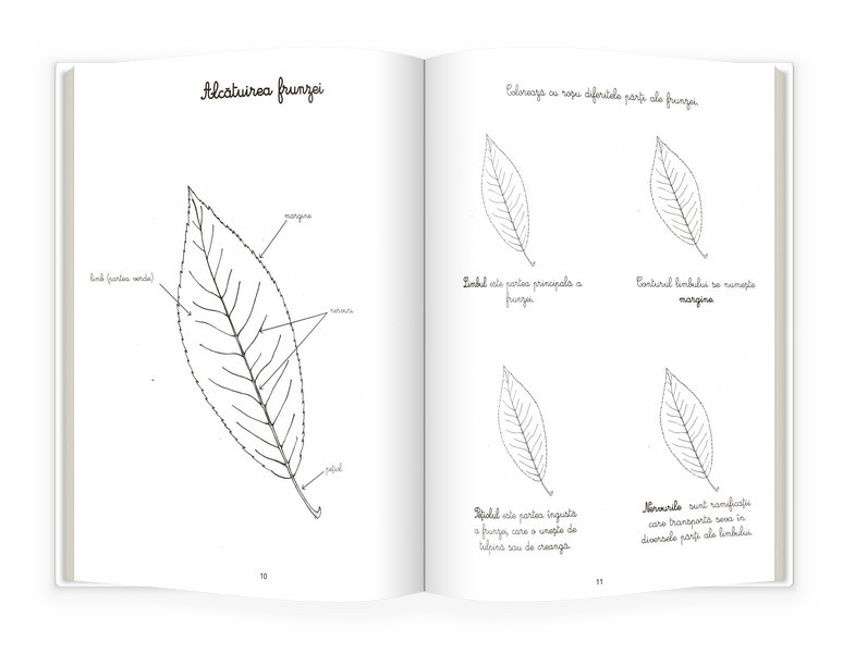 Natura si botanica. Activitatile mele Montessori - Eve Herrmann [2]
