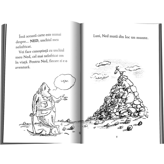 Neinfricatul Ned - Laurence Anholt [2]