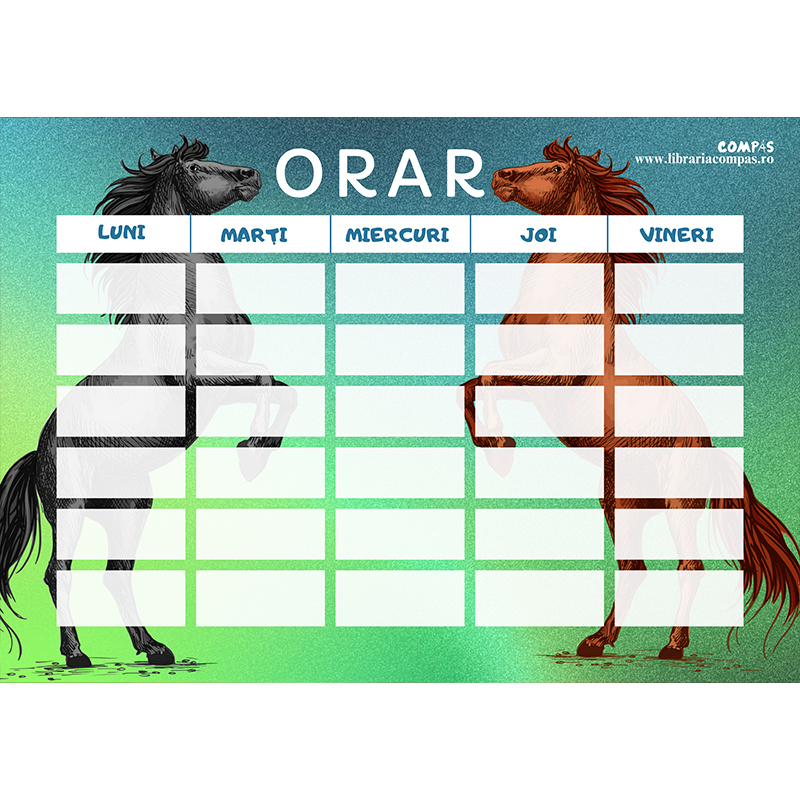 Orar A4 [4]