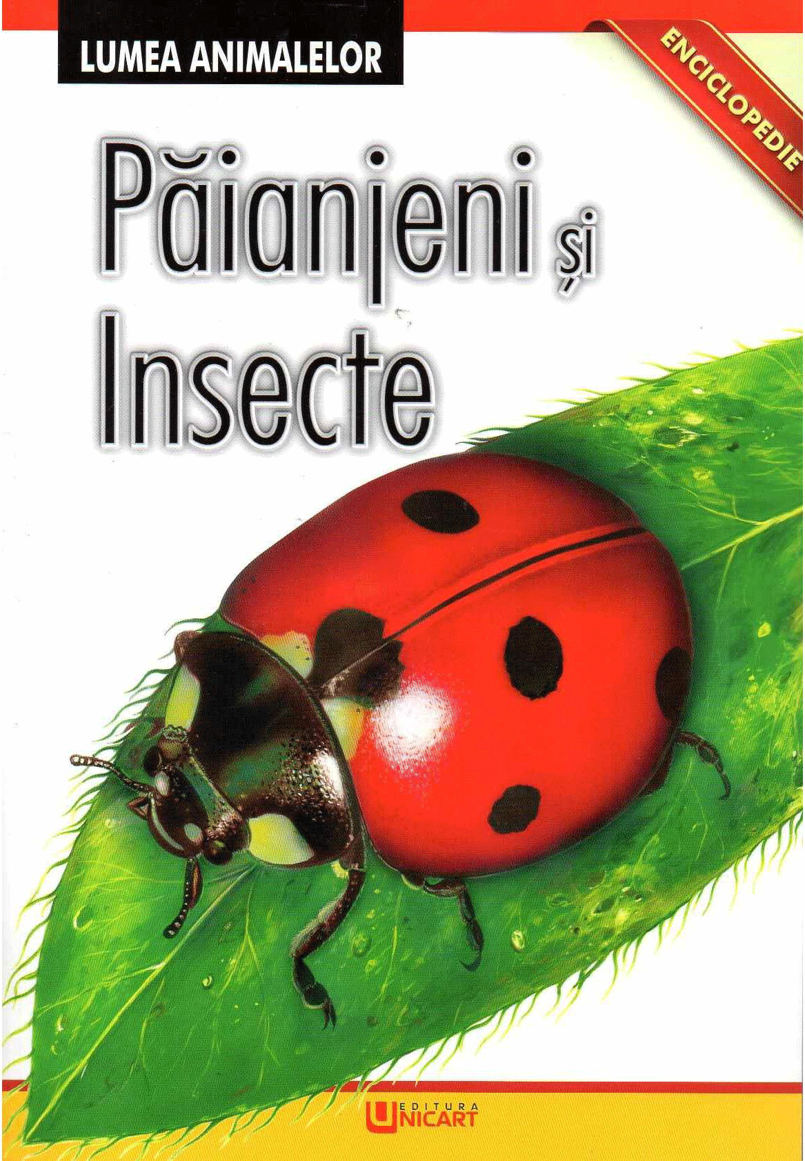 Paianjeni si insecte - Lumea animalelor [1]
