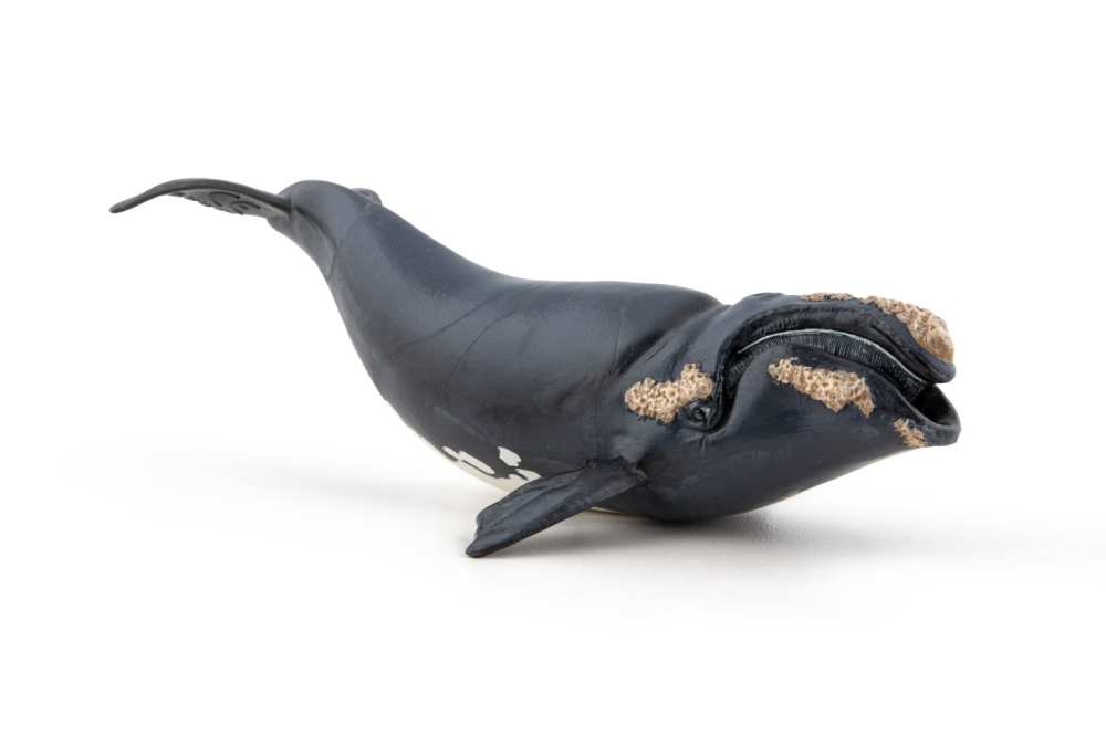 PAPO FIGURINA BALENA [4]