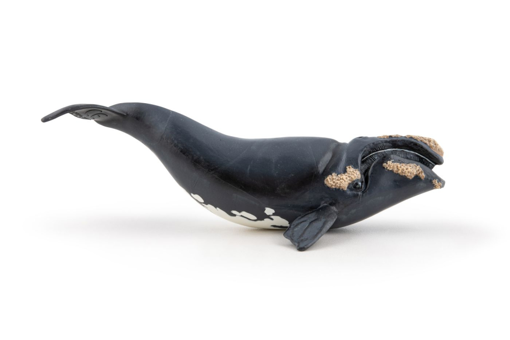 PAPO FIGURINA BALENA [3]