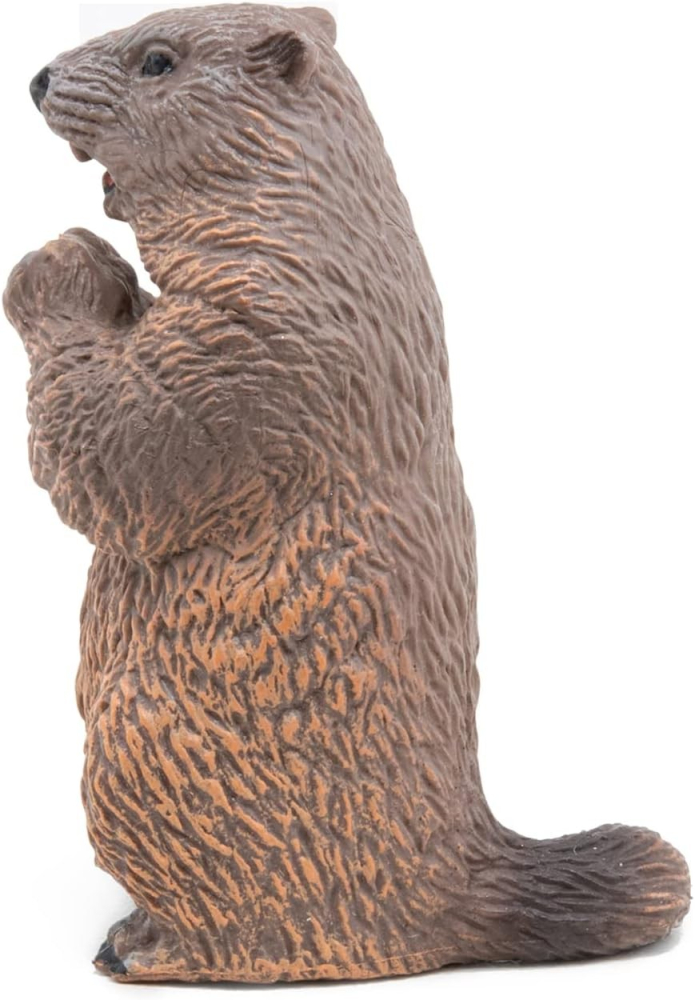 PAPO FIGURINA CASTOR [3]