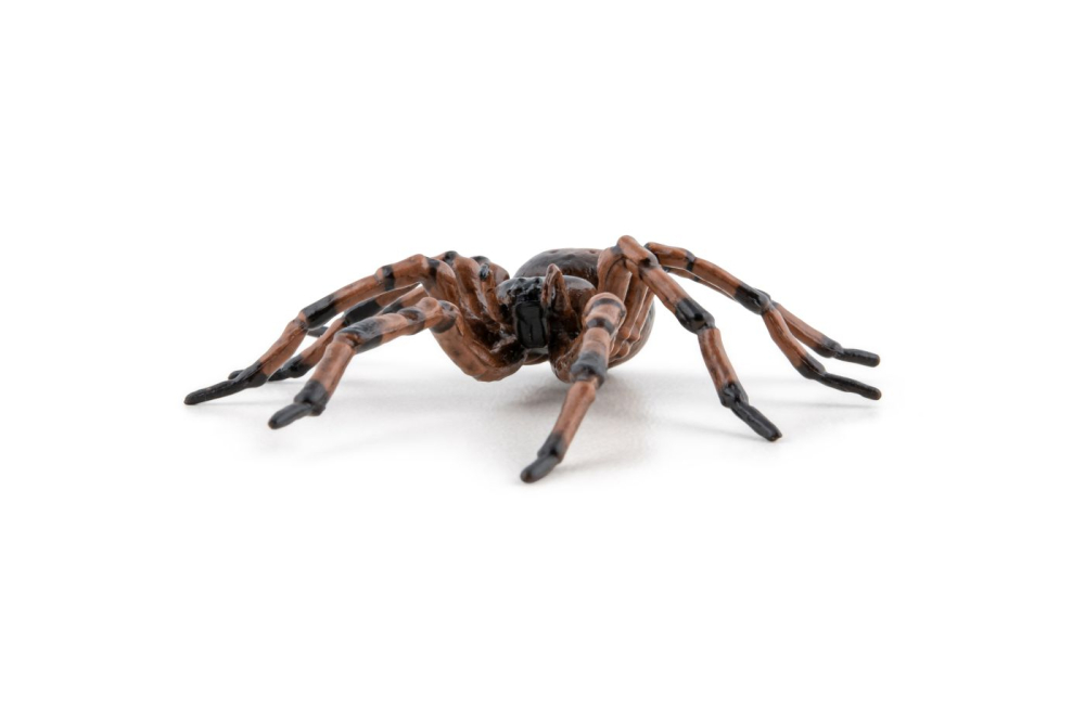 PAPO FIGURINA PAIANJEN [7]