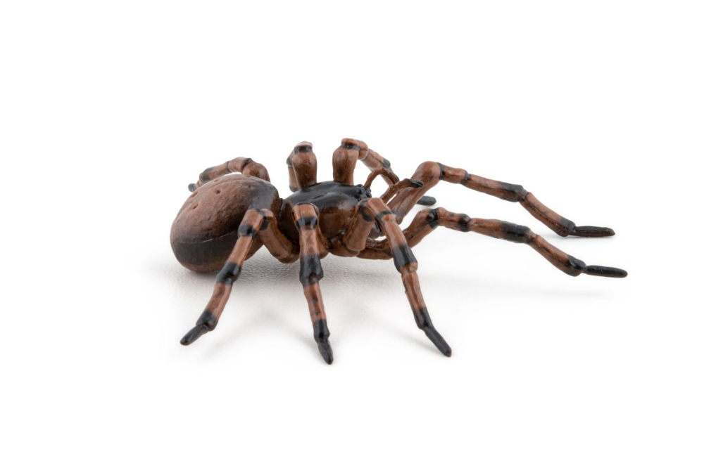 PAPO FIGURINA PAIANJEN [4]