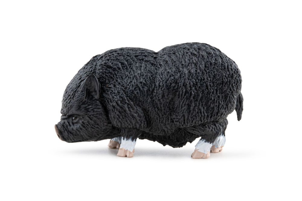 PAPO FIGURINA PORC VIETNAMEZ [6]