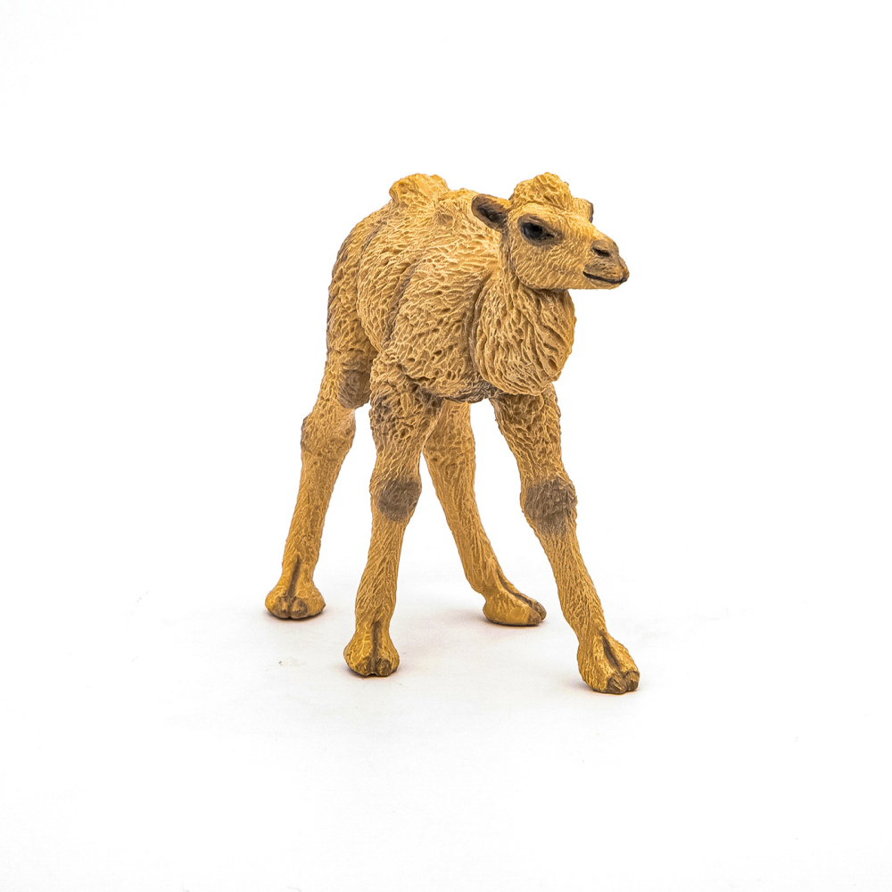 PAPO FIGURINA PUI CAMILA [4]