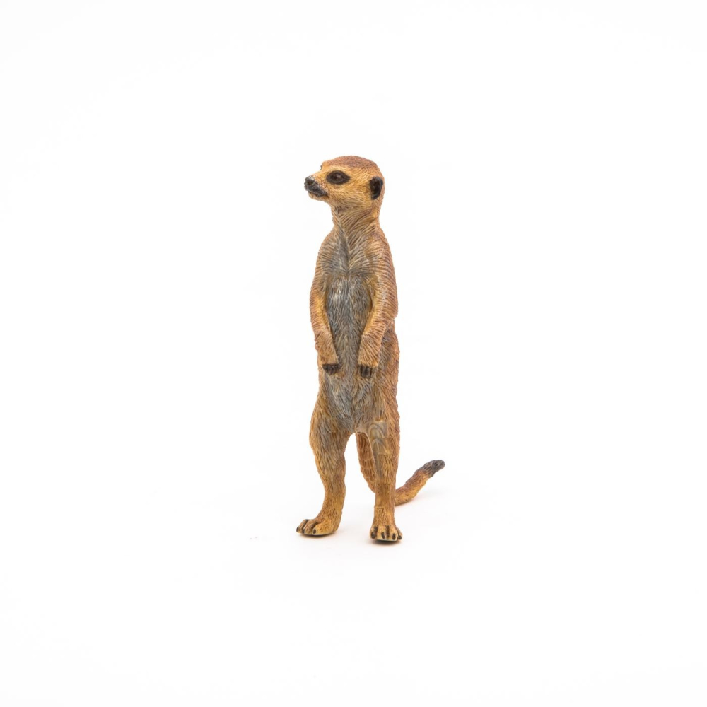 PAPO FIGURINA SURICATA [6]