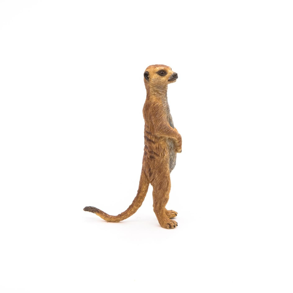 PAPO FIGURINA SURICATA [3]
