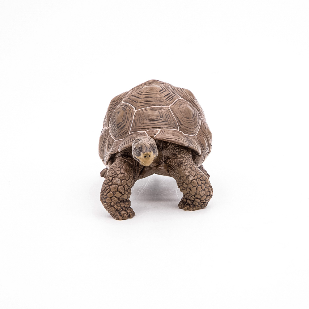 PAPO FIGURINA TESTOASA GALAPAGOS [6]