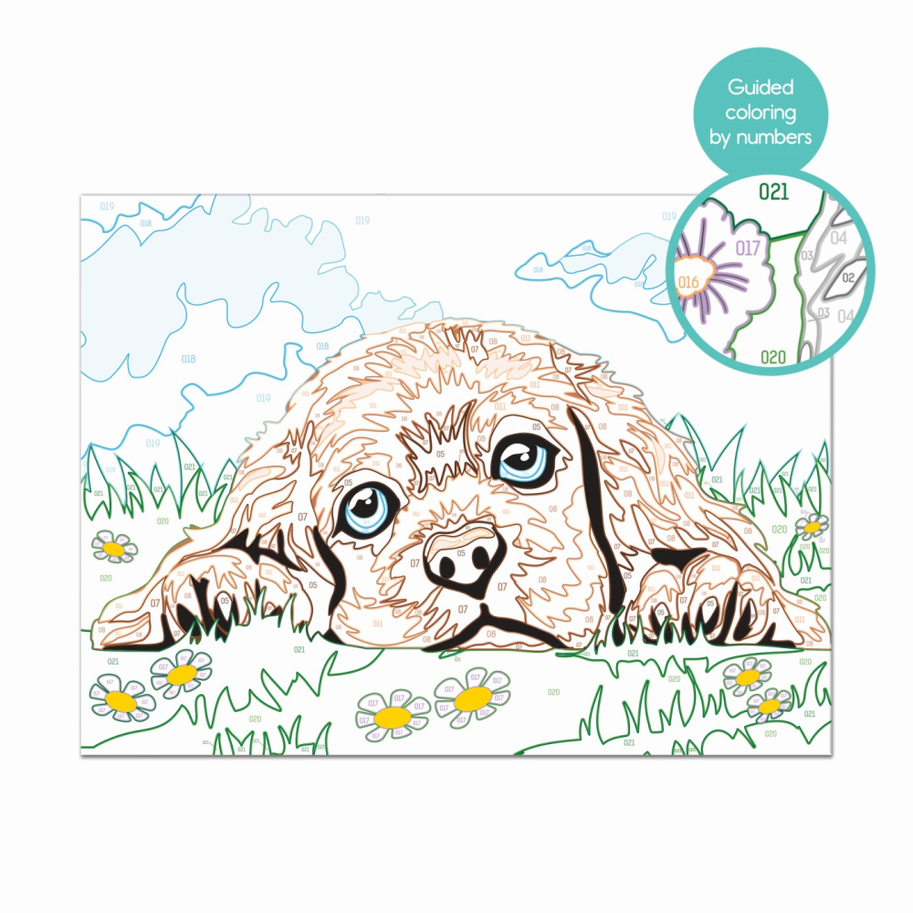 PICTEAZA SI INRAMEAZA CATELUSUL IUBITOR [6]