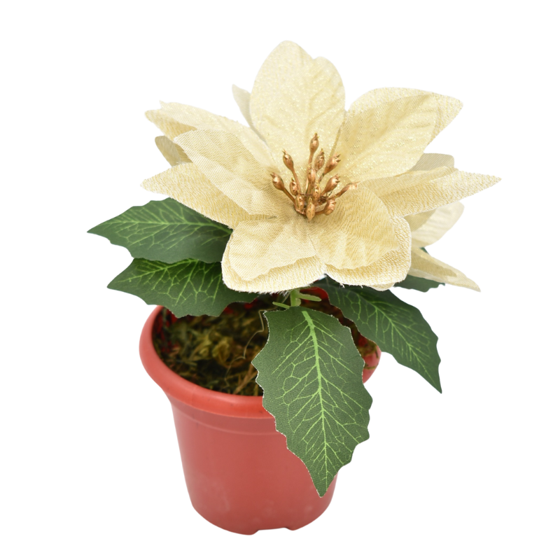 Floare decorativa Craciun 17 cm in ghiveci [1]