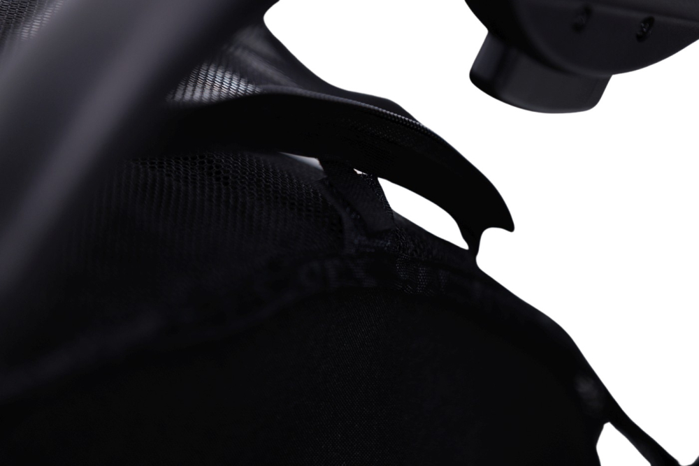 PLASA INSECTE CARUCIOR HAMILTON [5]