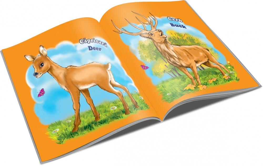 Animale salbatice Pliante cartonate [2]