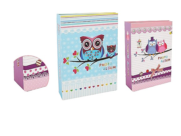 Album foto 4x6 10x15cm 100p 6131 080353 [1]