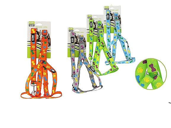 Set lesa + ham animale 2.0 060921 [1]