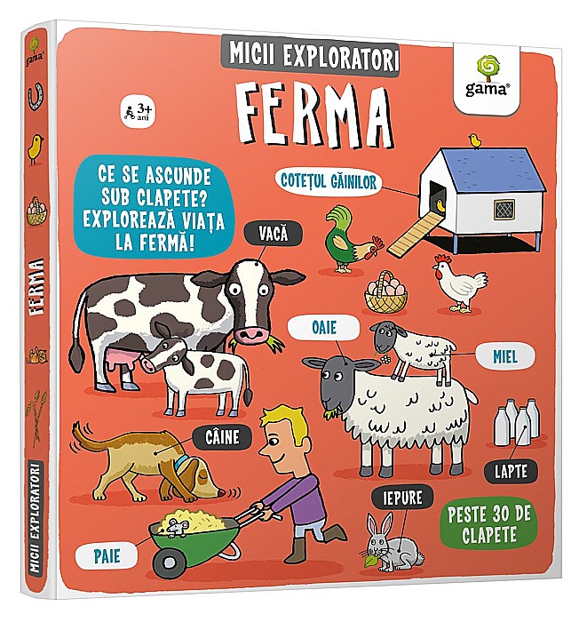 Ferma – Ruth Martin [1]