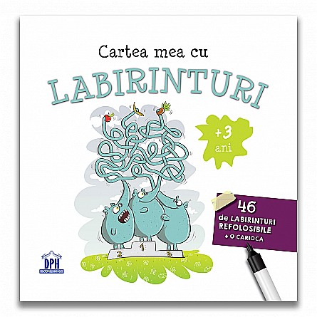 Cartea mea cu labirinturi [1]