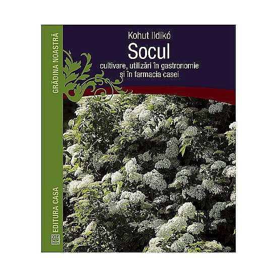Socul – Kohut Ildikó [1]