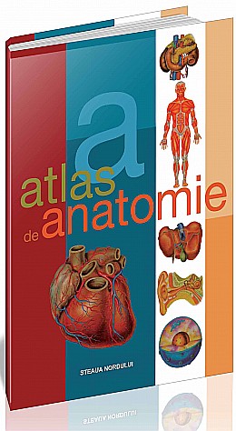 Atlas de anatomie [1]