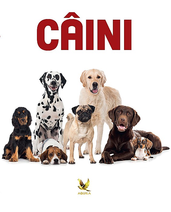 Caini [1]