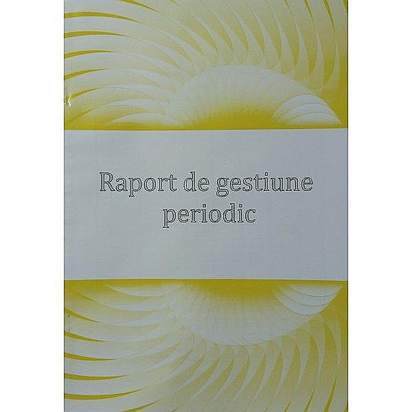 Raport gestiune periodic color [1]