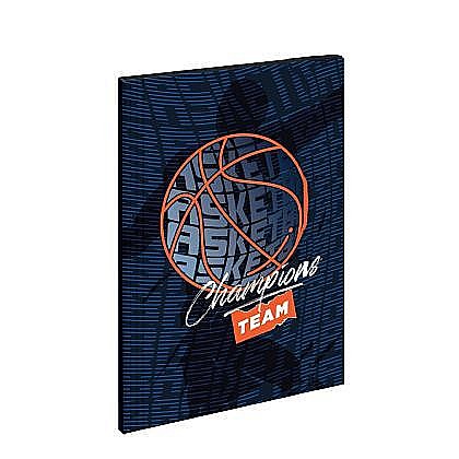 Mapa premium, holografic, basketball, elastic sc2422 [1]