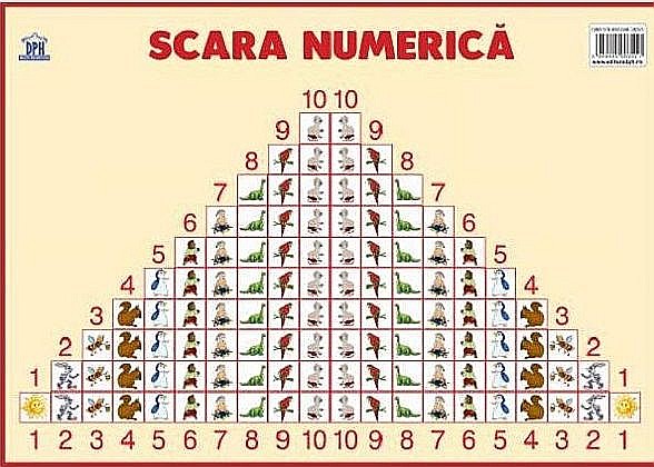 Plansa: Scara numerica. Clasa VIII [1]
