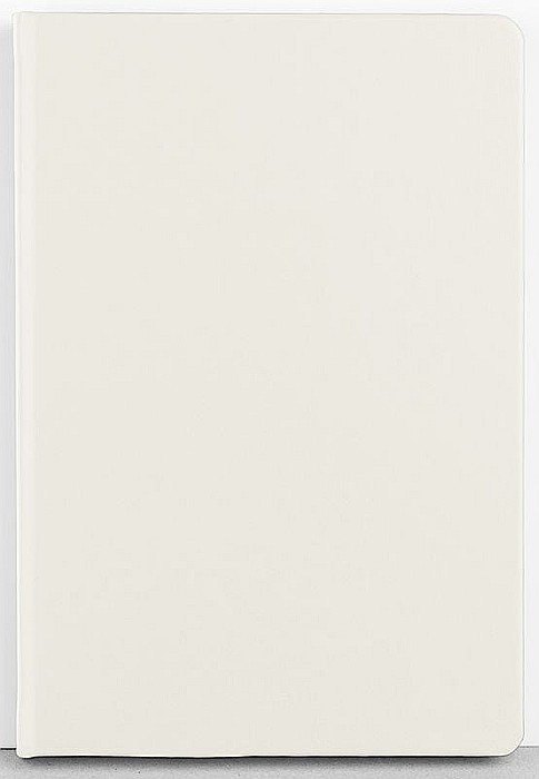 Agenda a5 nedatata gri deschis eco egoecomv0 [1]