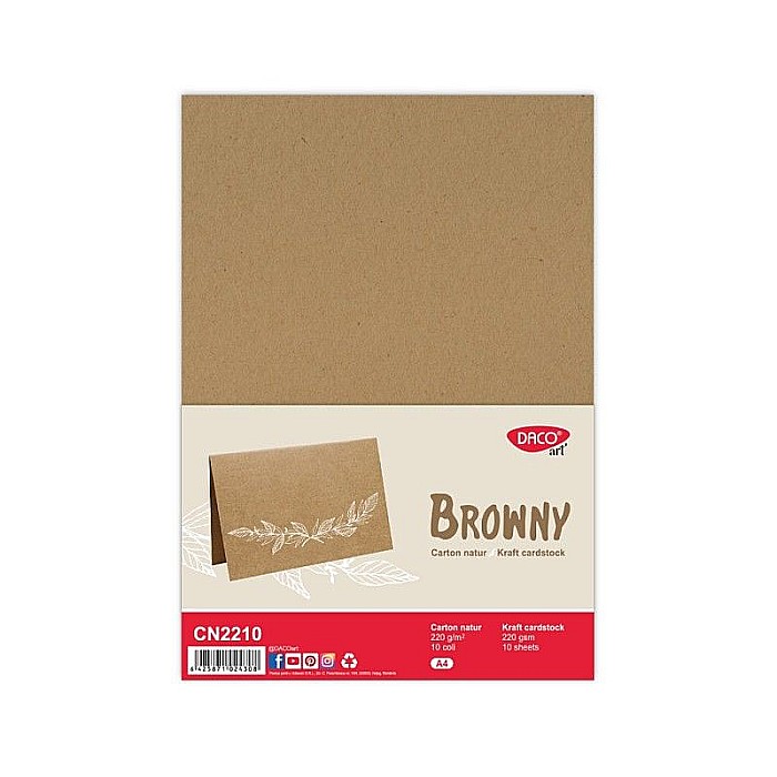 Carton natur 220g/mp a4 10 coli daco cn2210 [1]