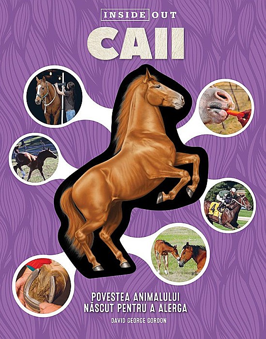 Caii - 3D - David George Gordon [1]
