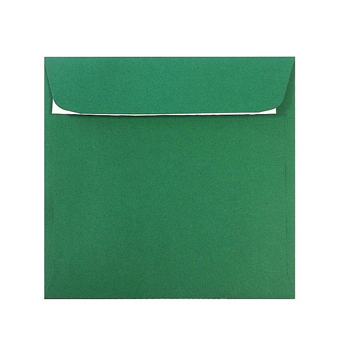 Plic 14x14cm patrat color silic daco pc1414vp [1]