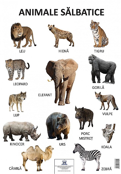 Plansa animale salbatice [1]