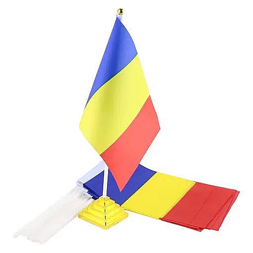 Steag Romania cu talpa 38821 [1]