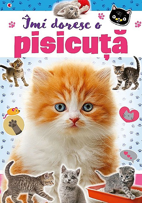 Îmi doresc o pisicuță [1]