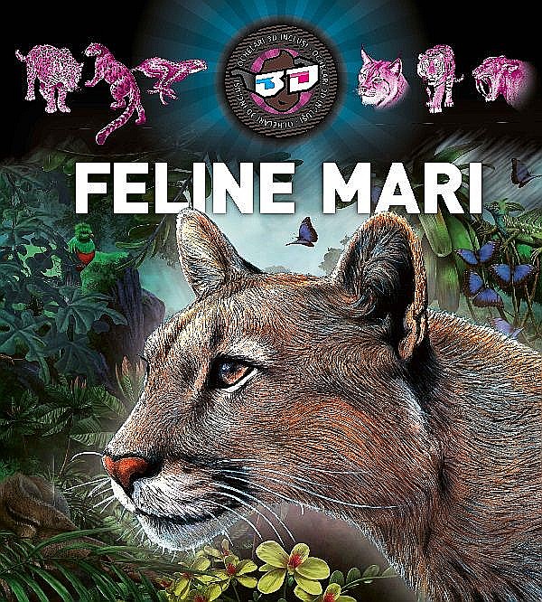 Feline mari 3D [1]
