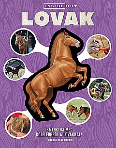 Lovak Ismerkedj meg kozelebbrol a lovakkal! [1]