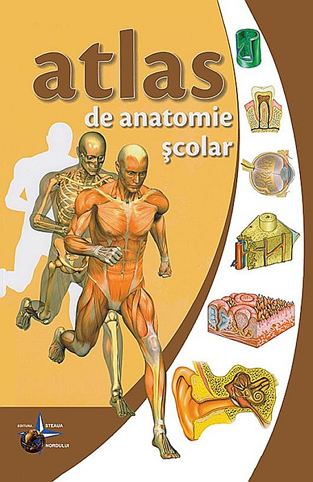 Atlas de anatomie scolar - Vlad Violeta [1]