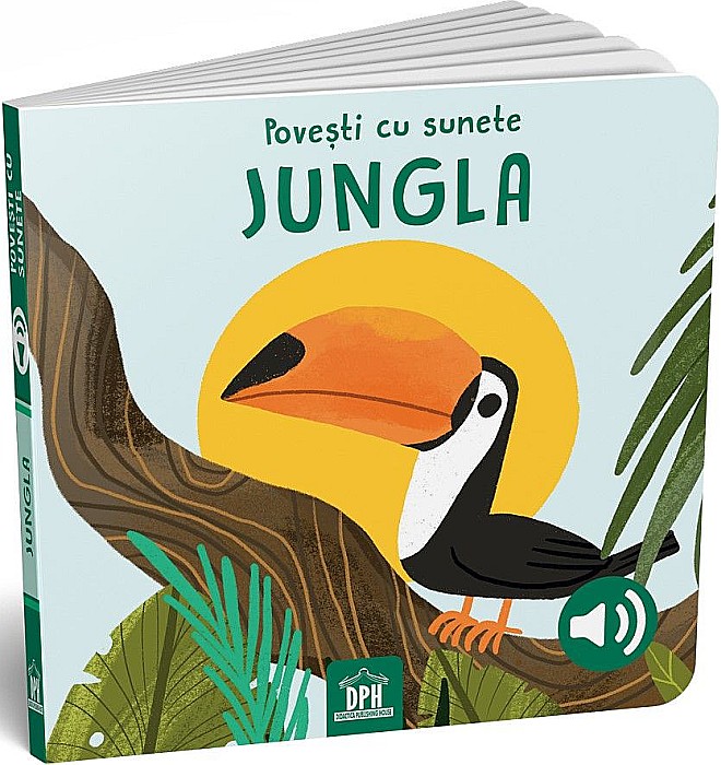 Jungla – Sassi [1]