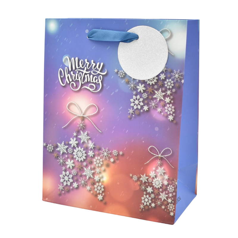 Punga cadou Craciun hartie 18x23x10 cm [3]