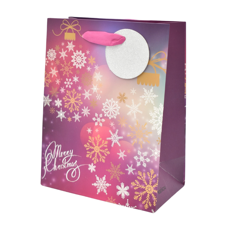 Punga cadou Craciun hartie 18x23x10 cm [4]