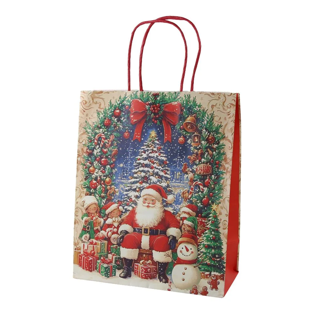 Punga cadou de Craciun din hartie 22 x 11 x 27 cm Mos Craciun si coronita modele diverse [5]