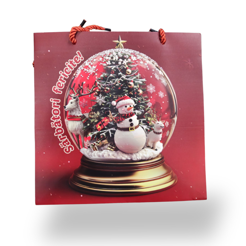 Punga cadou Craciun 23x23x20 cm [1]